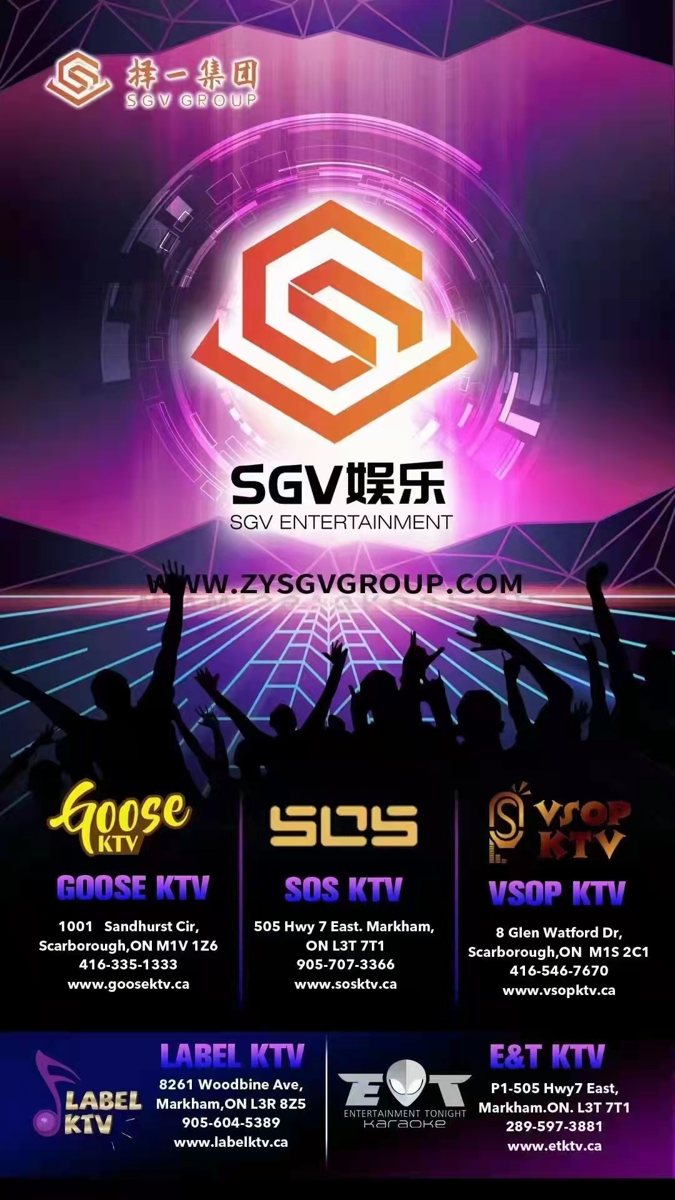 SGV Group brand matrix